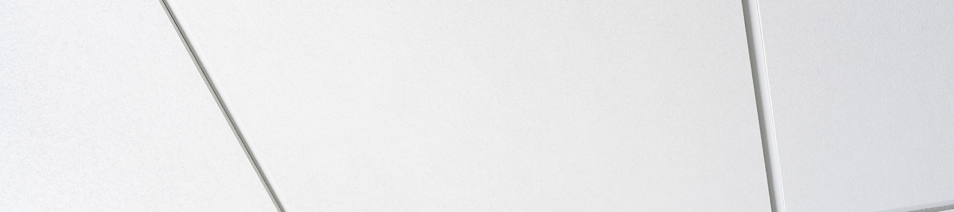 New-TOPIQ-Alpha_Surface.jpg