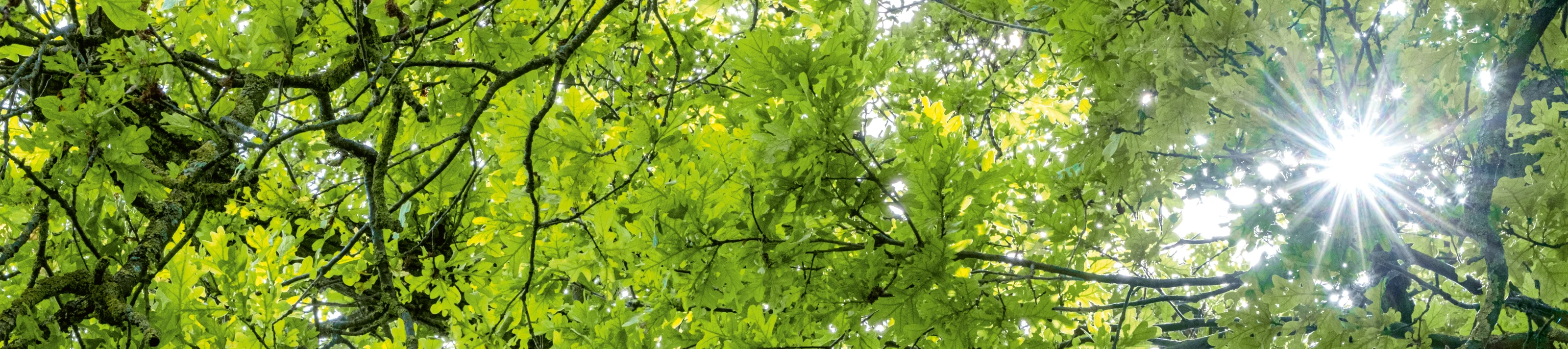 202504-Renaturation-240523_Knauf_5415