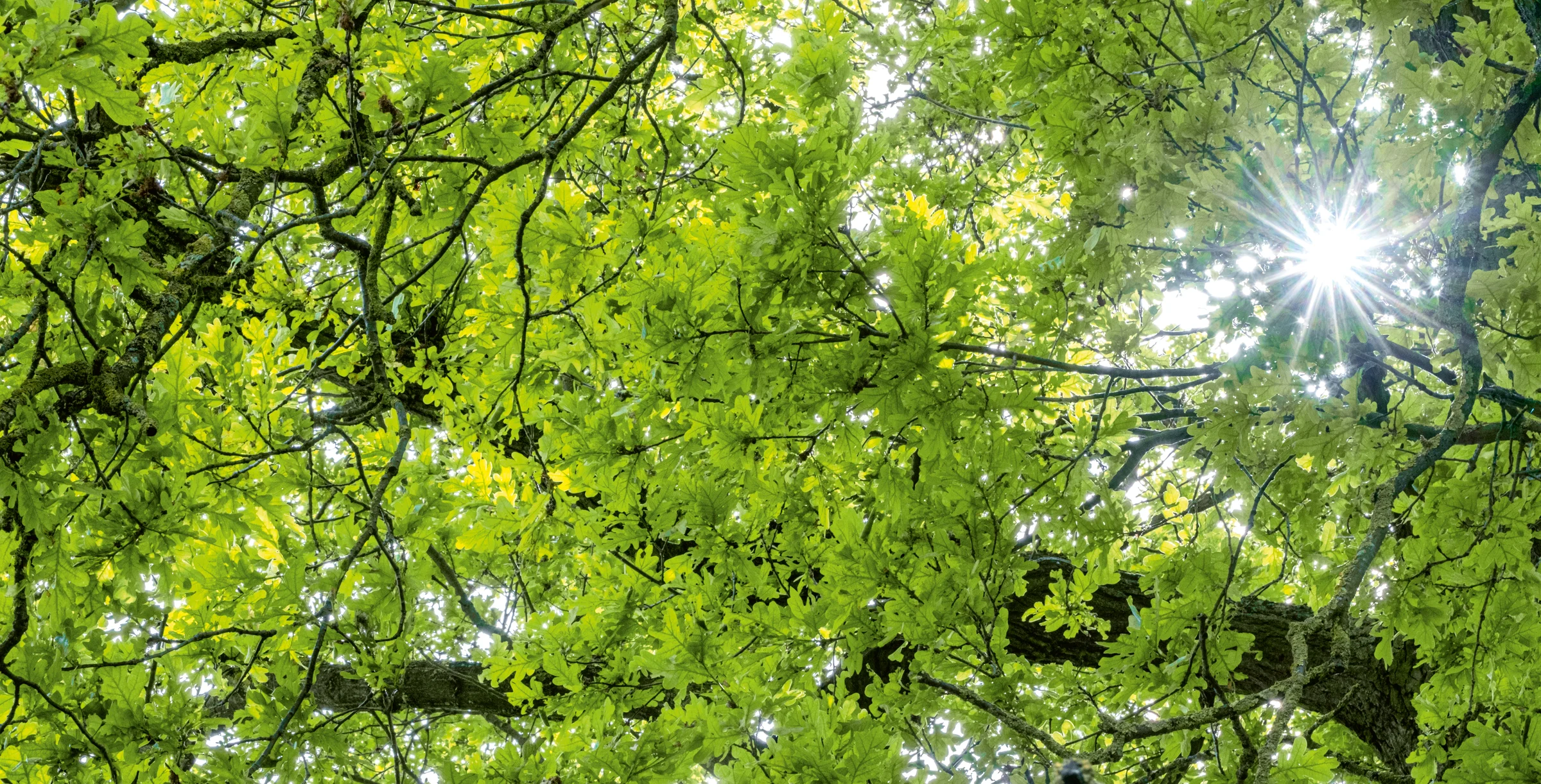 202504-Renaturation-240523_Knauf_5415