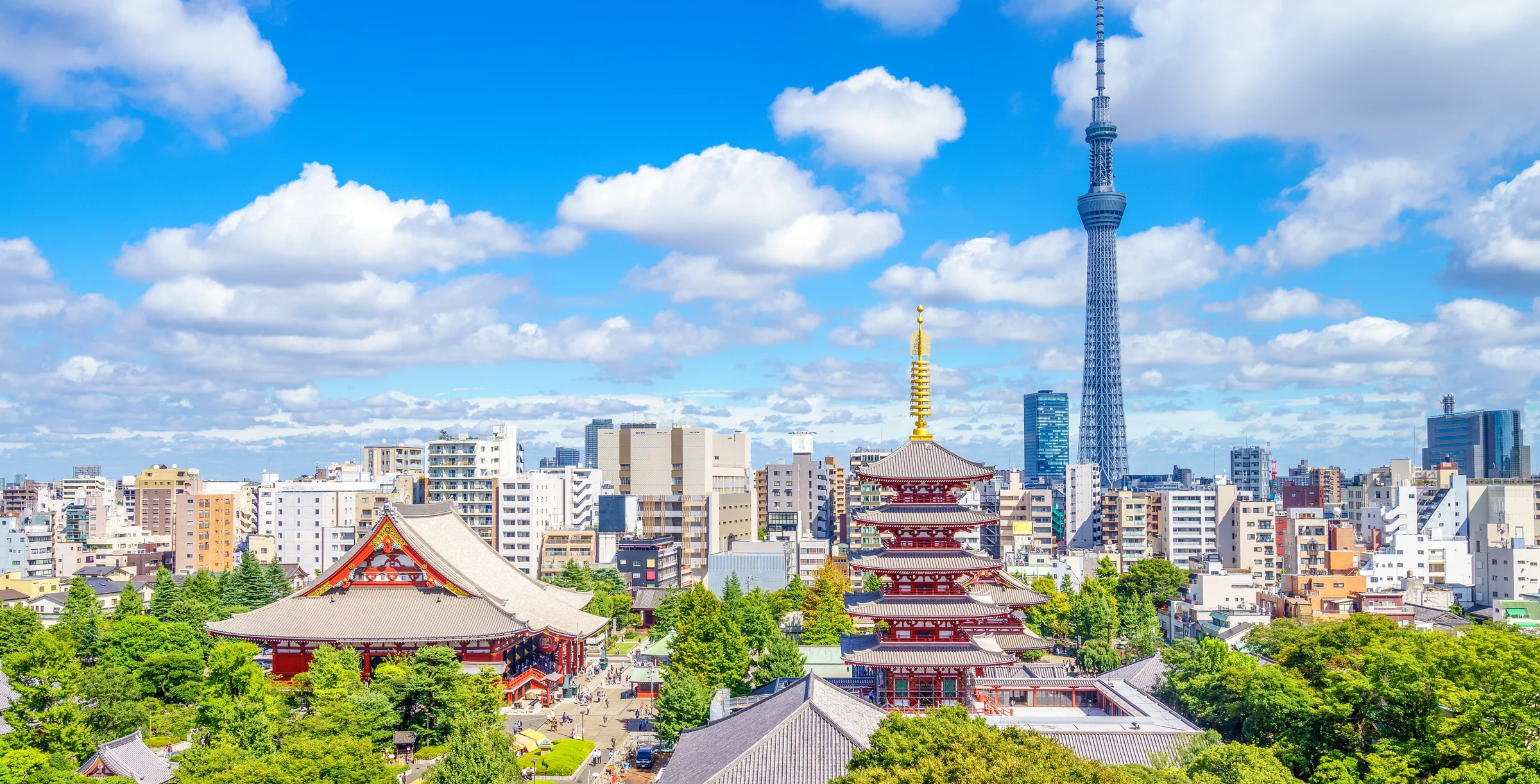 Japan Sustainability Hero Image