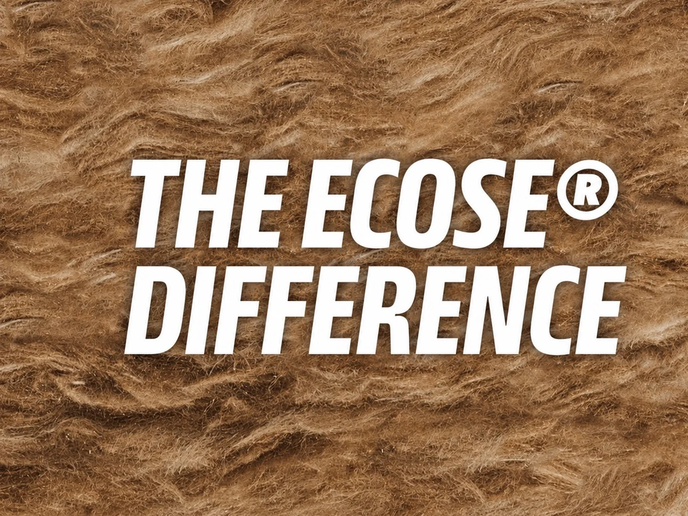 KI_KR_ECOSE_Banner_Image-2