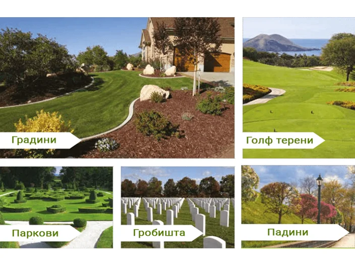 Zazelenuvanje