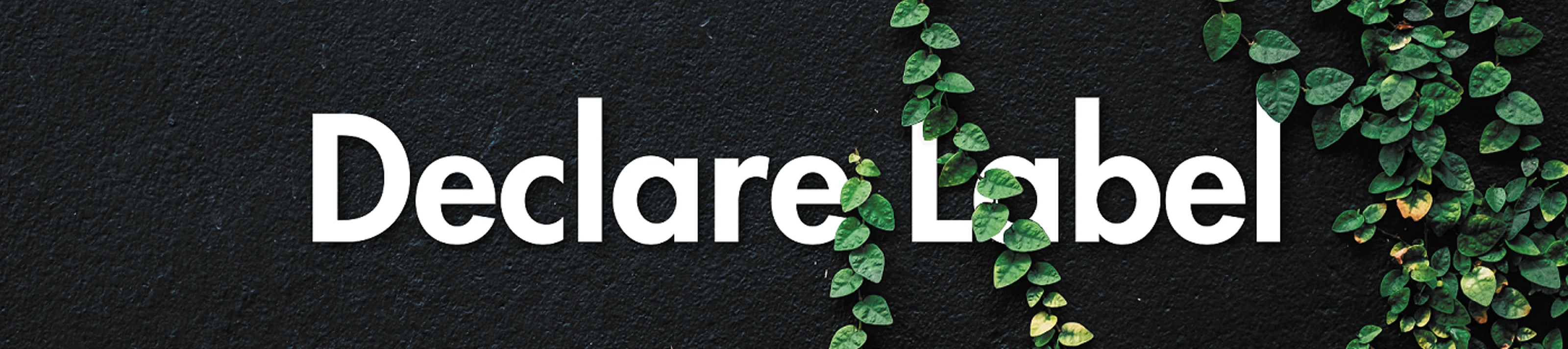 declare-label