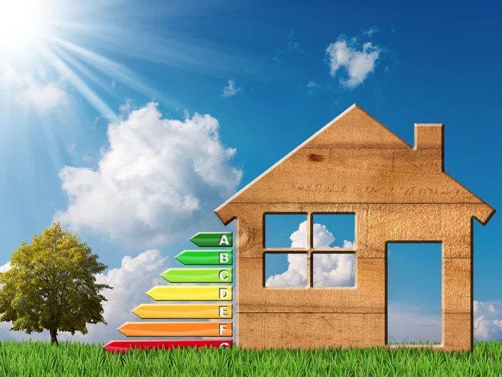 Energy Efficiency - Wooden House on Green Grass
