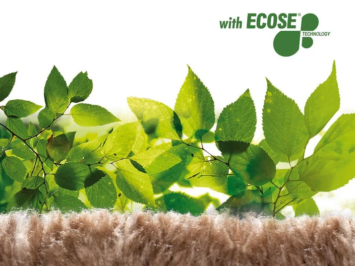 KI_SI_ecose-tehnology
