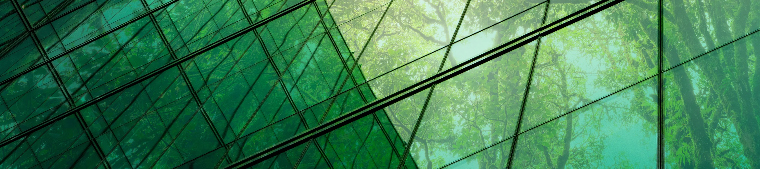 ECOSE difference trees