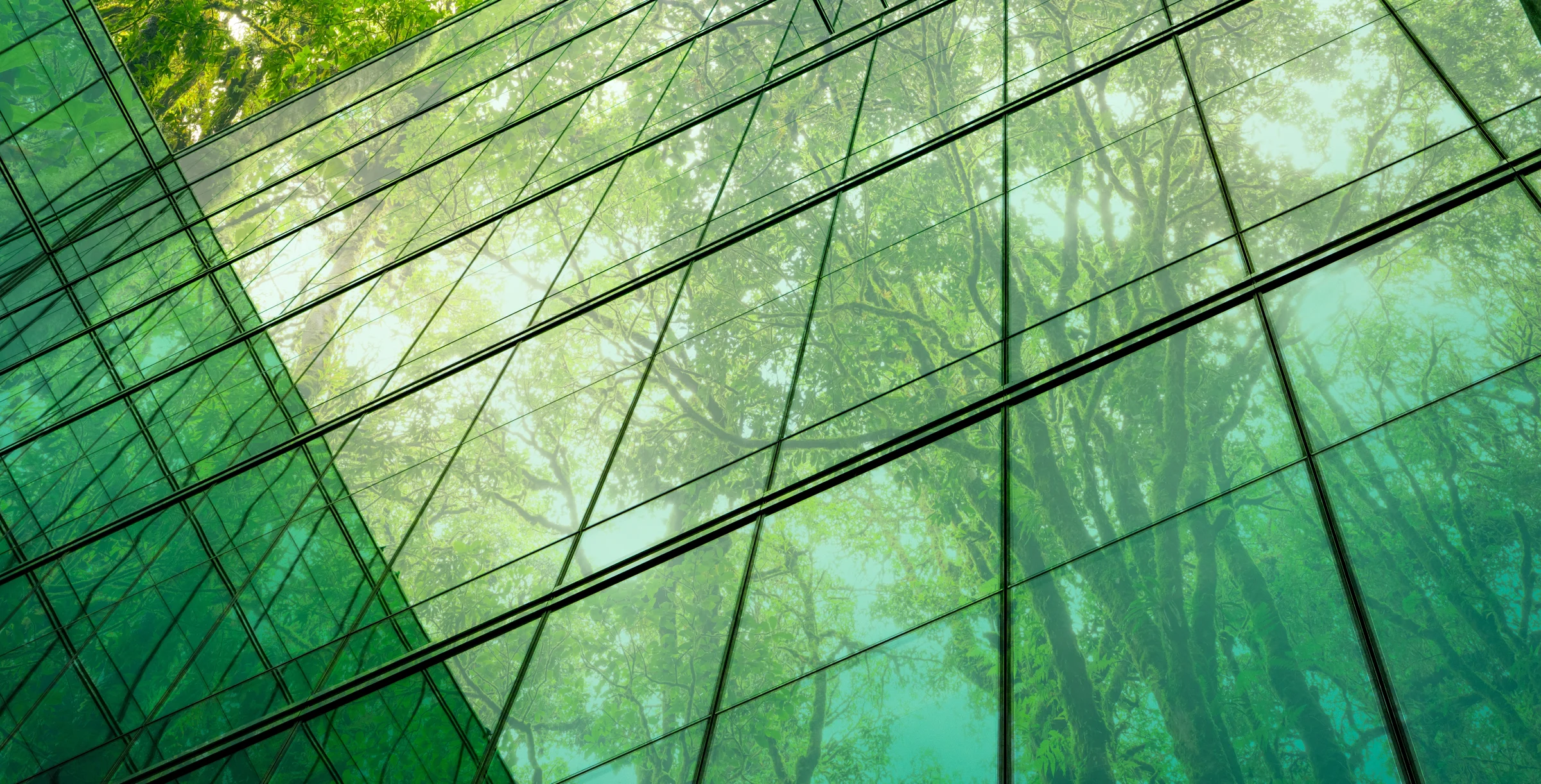ECOSE difference trees