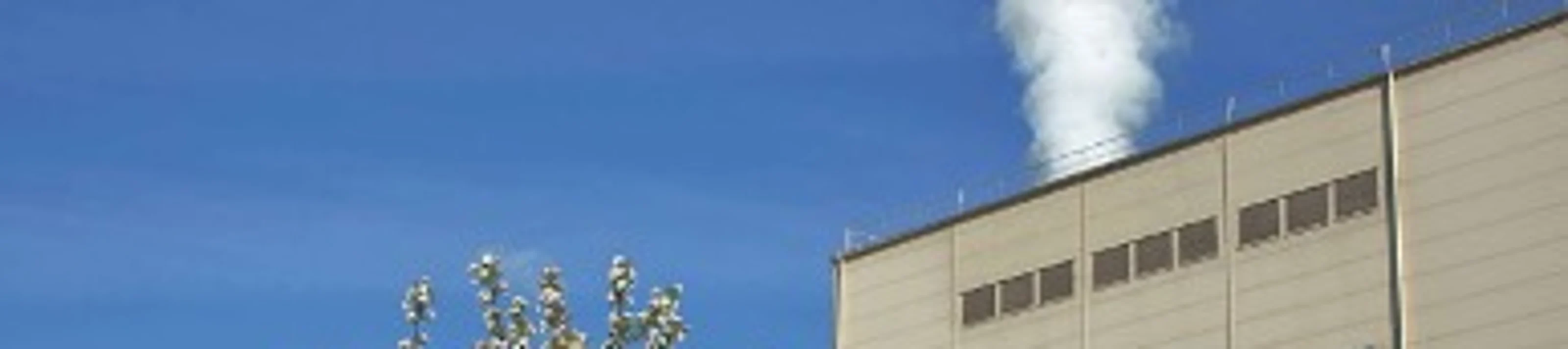Tarnaveni Plant 4