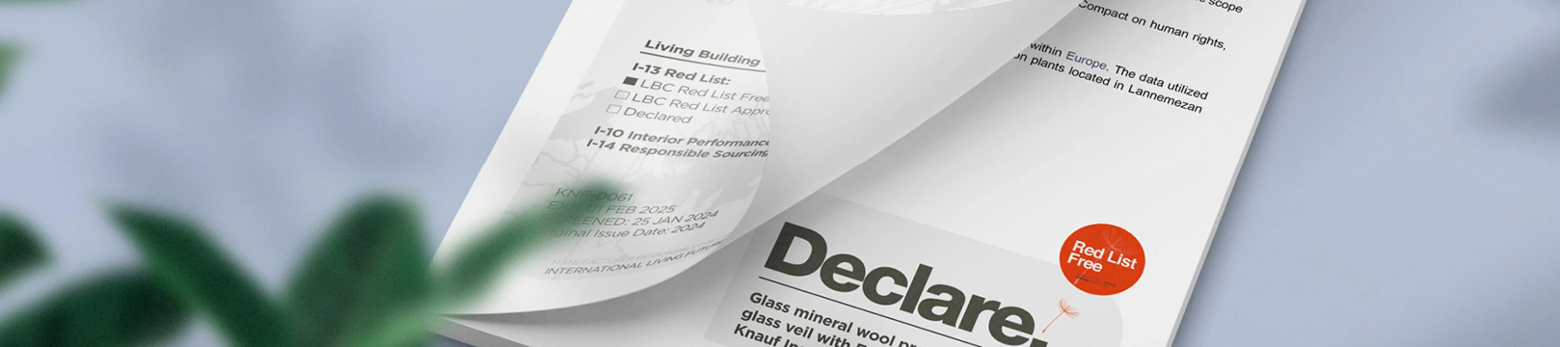 DECLARE-BANNER-1920X400