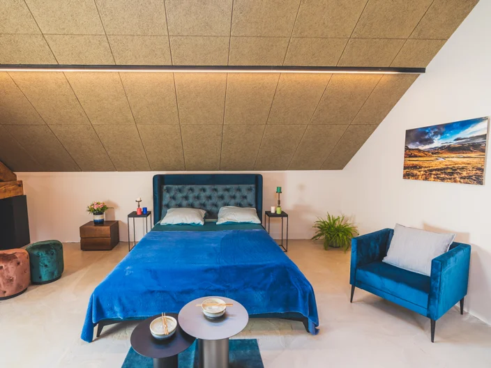 simon morice média knauf plafond acoustique organic mad agency