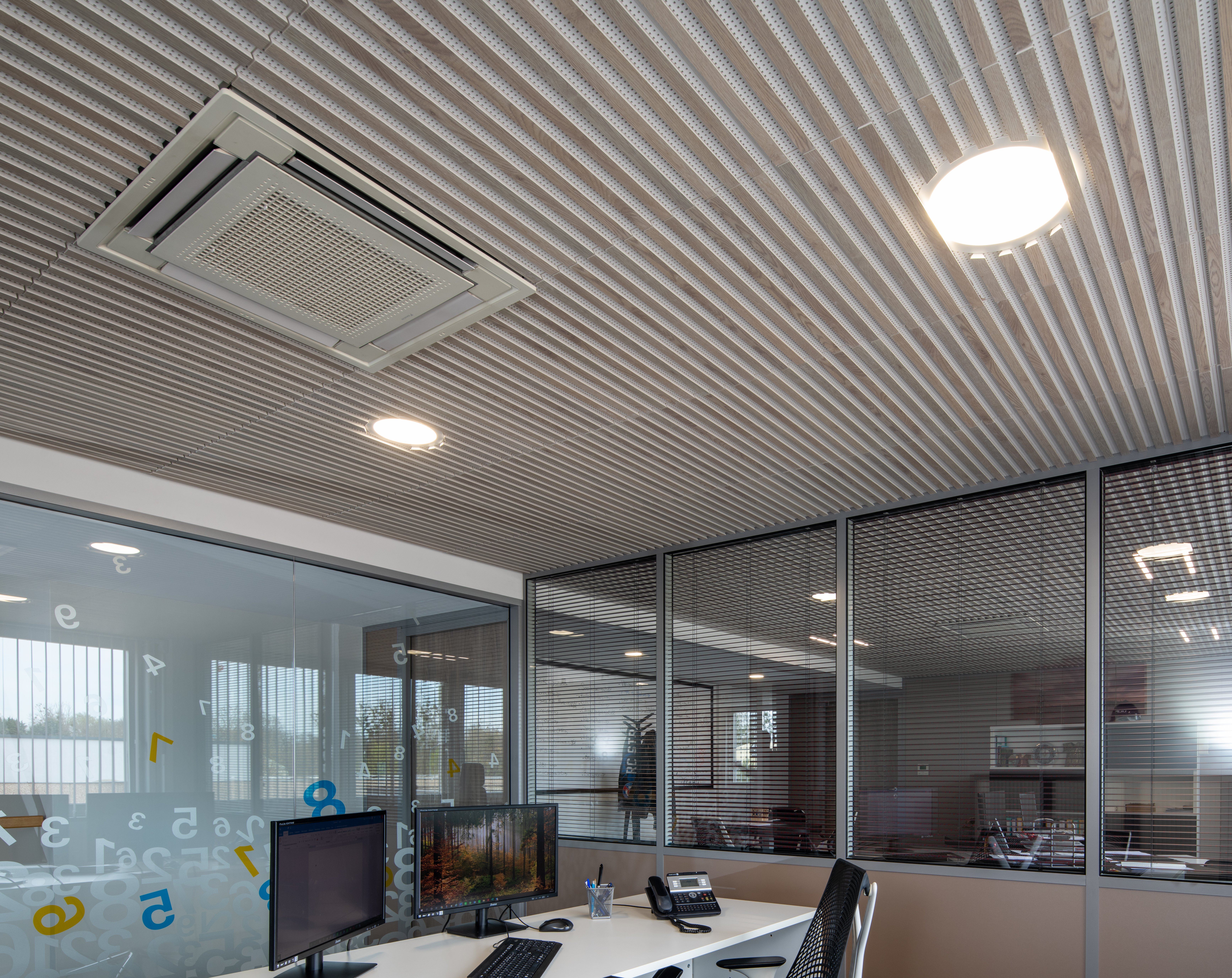 Bureaux société RUIU Illkirch 67 Danoline Rold12