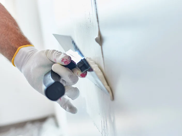 Home Painter