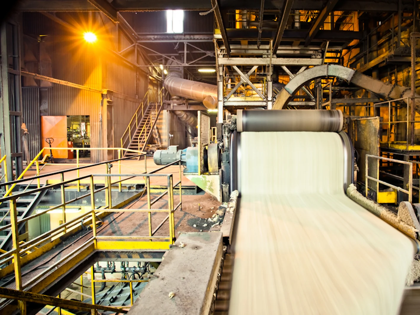 NB Plant História