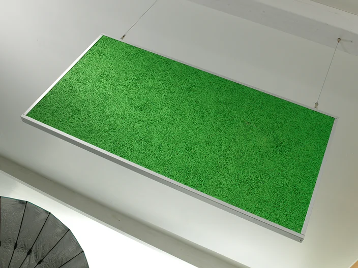 organic sound interior vert visuel