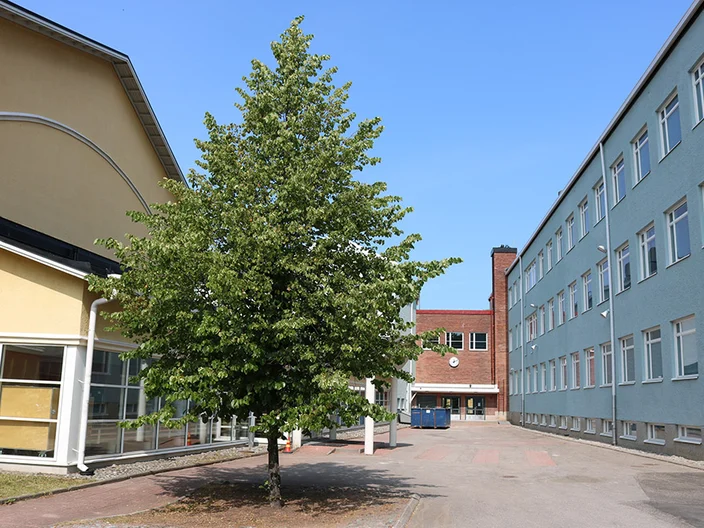 1B_Linnankosken_lukio_3000x2000_web