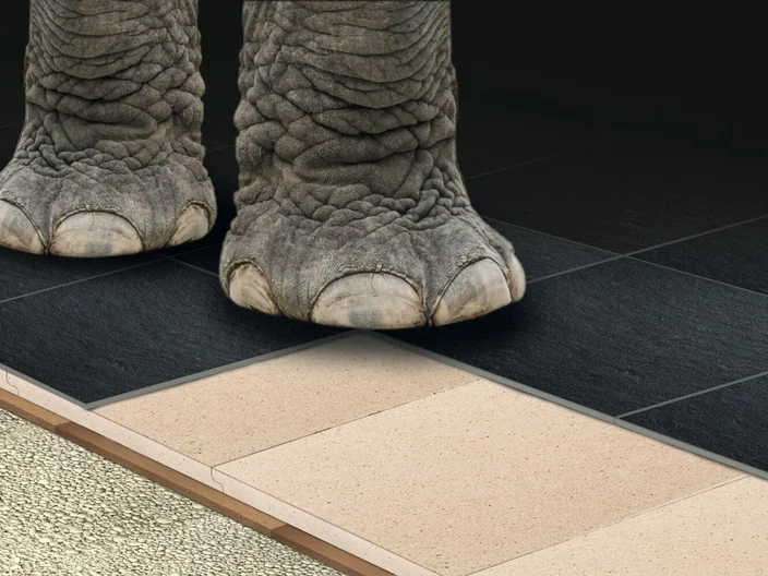 Elefant-auf-Verlegeplatten