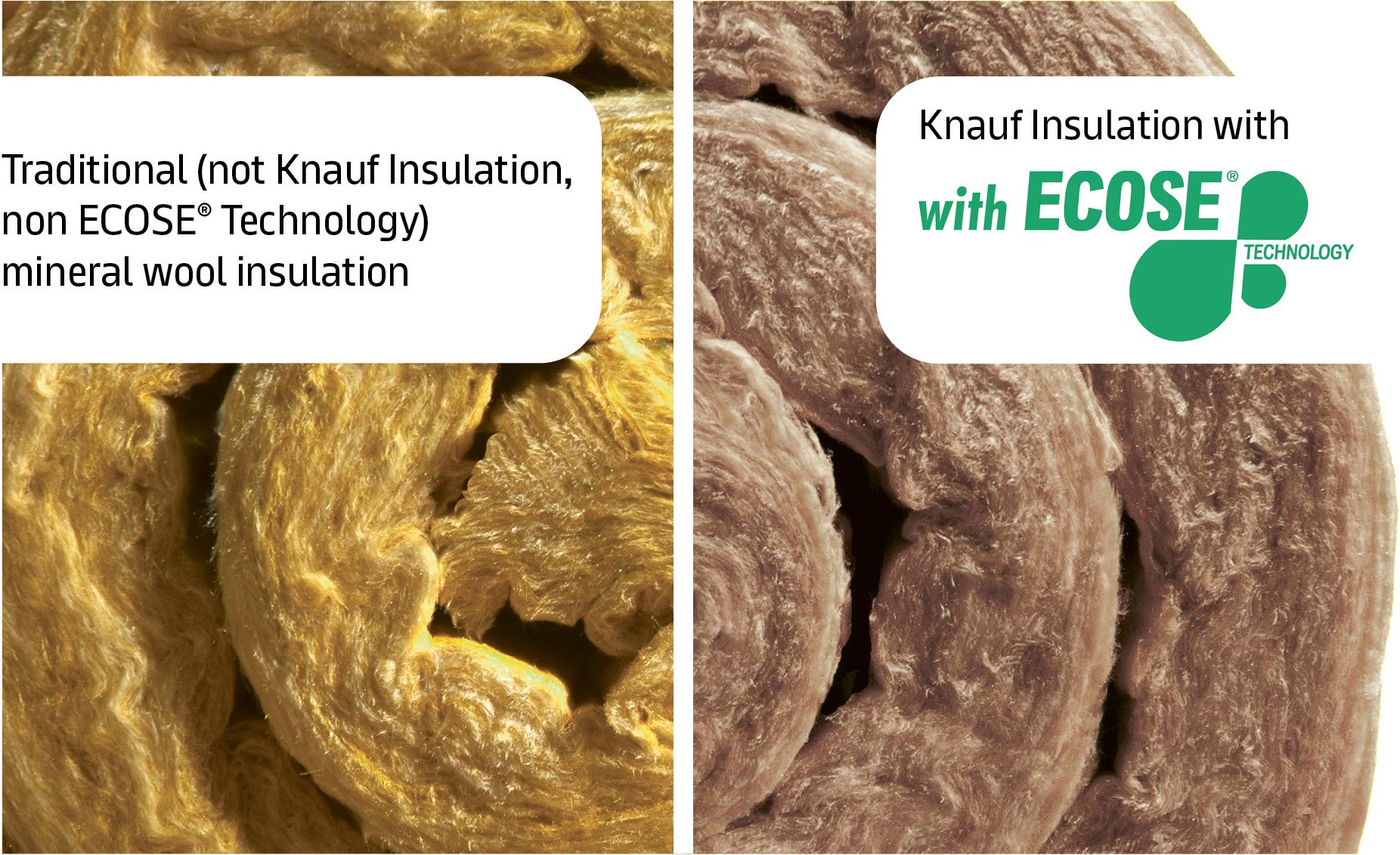 ECOSE-and-PF-Comparison