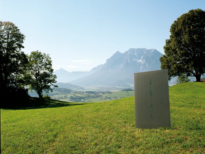 Gipsplatte in Wiese