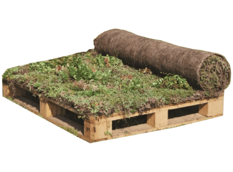 Urbanscape® Sedum-mix blanket web