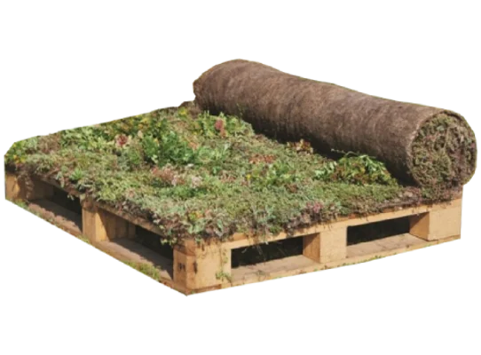 Knauf - URBANSCAPE PREKRIVAČ SA MEŠAVINOM SEDUMA - Urbanscape® Sedum-mix blanket web