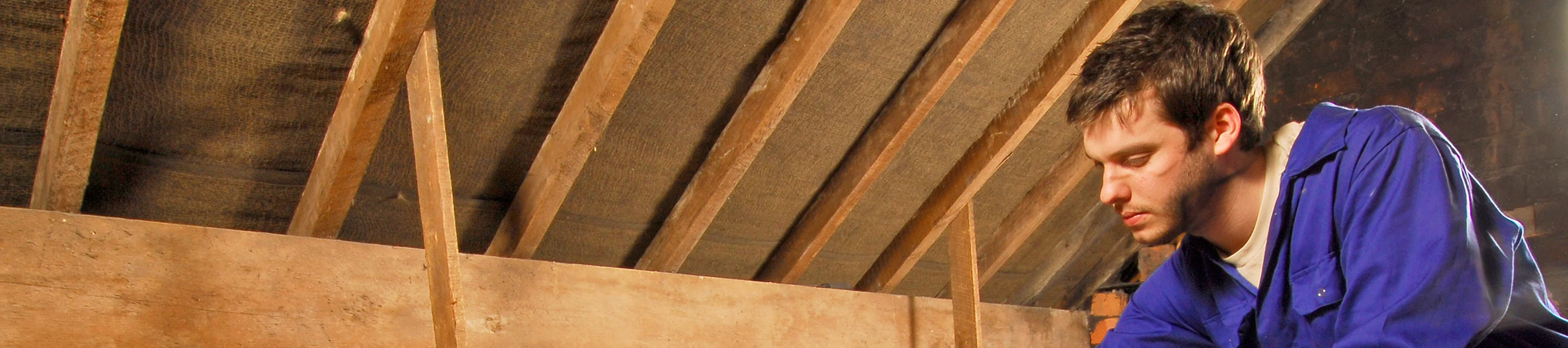 ID_6614_ID_5280_Earthwool-loft-install-pitched-roof-ceiling-levelNOMASK_1