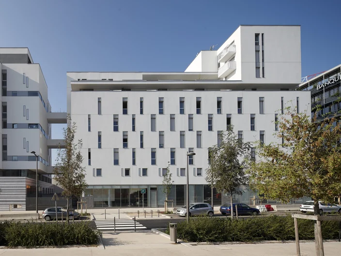 opac confluence lyon