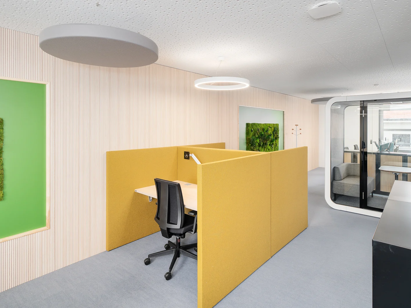 réalisation plafond acoustique exthétique knauf unity