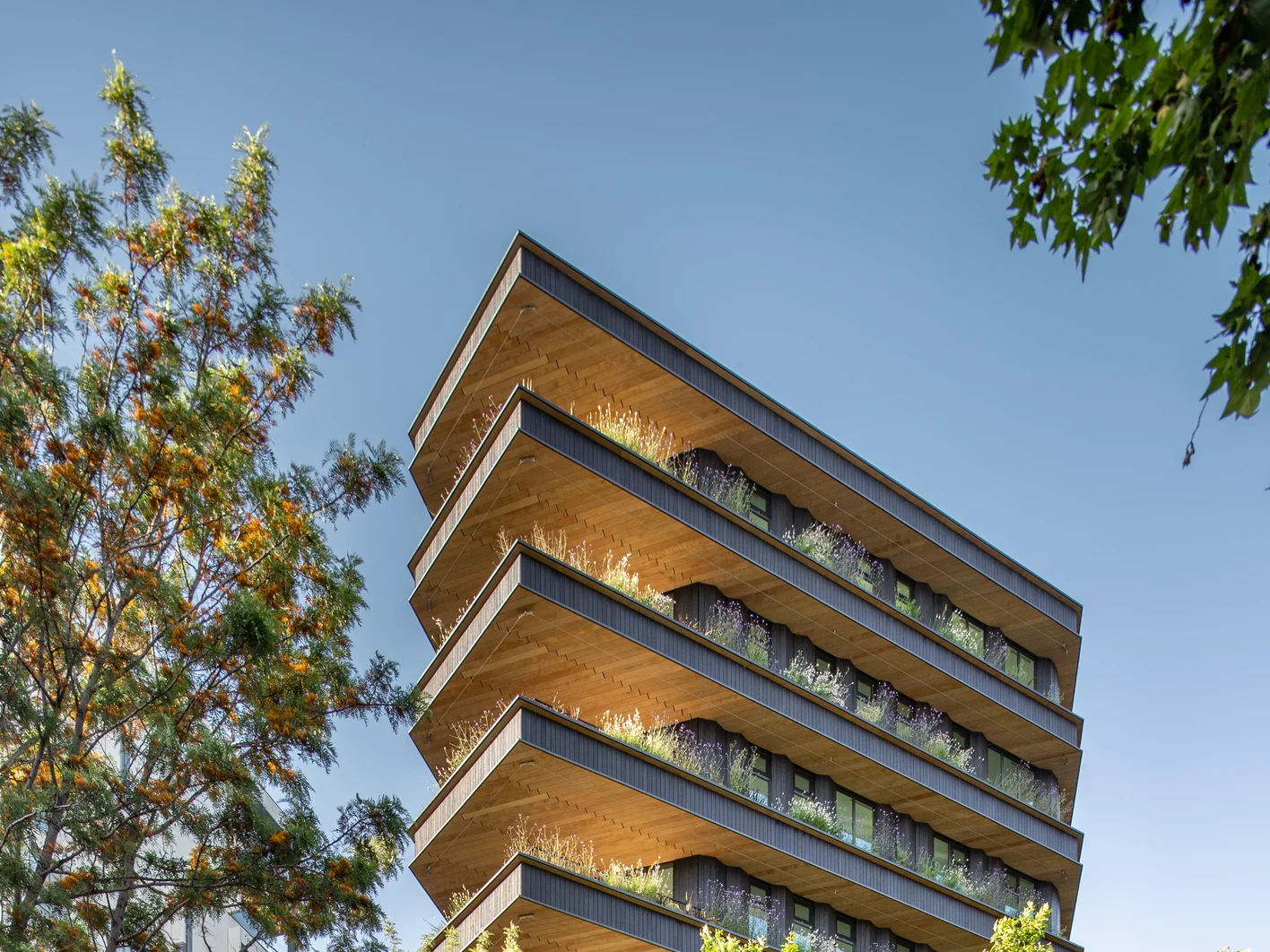 Oficinas Entegra Barcelona 5