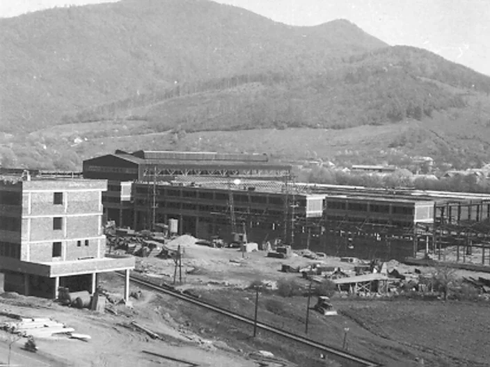 NB Plant Histrória