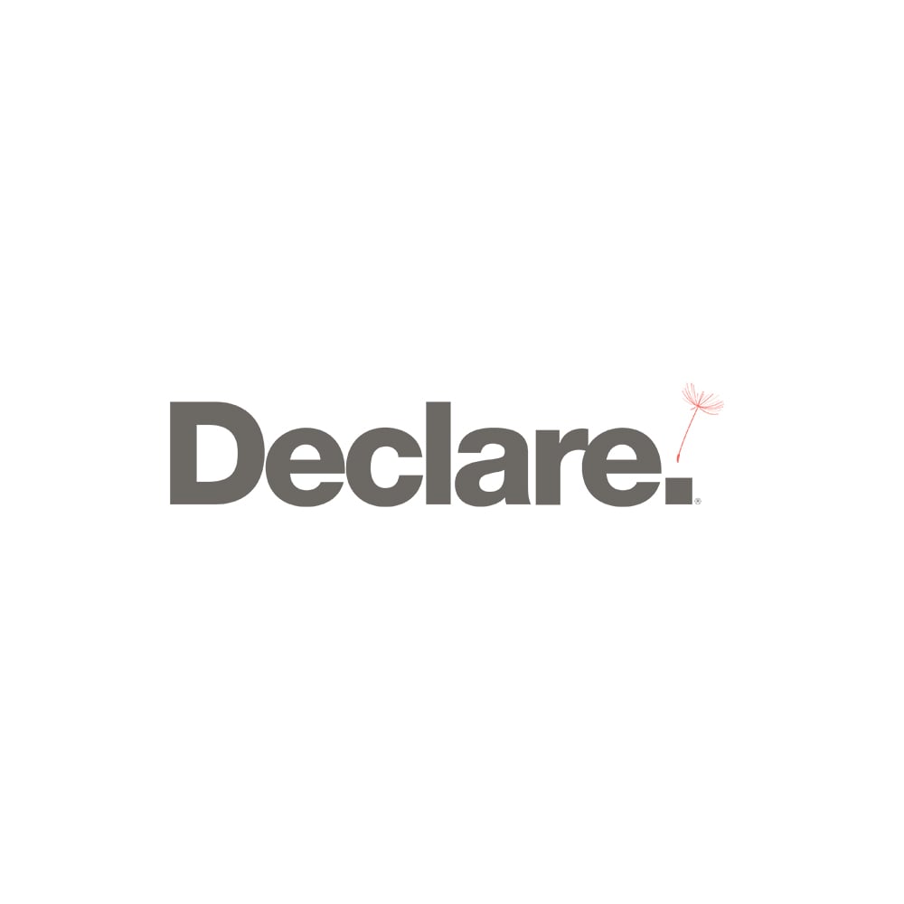 Declare Logo