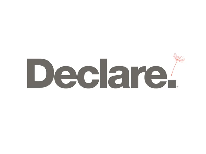Declare Logo