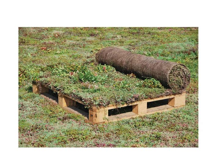 Urbanscape® Sedum-mix blanket R