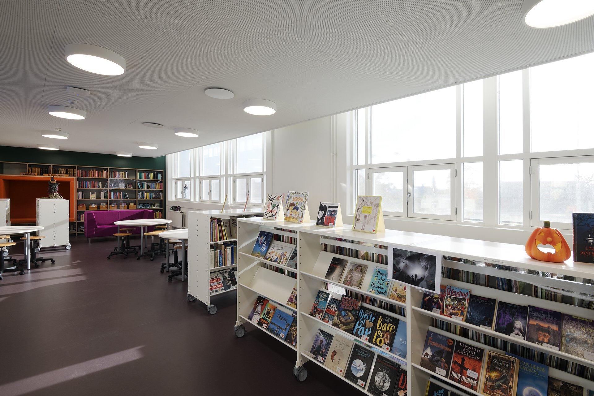 812-4272-acoustic-ceiling-in-schools-knaufdanoline