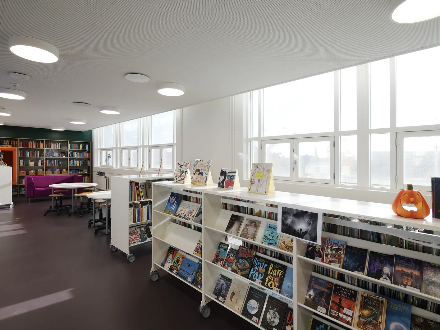 812-4272-acoustic-ceiling-in-schools-knaufdanoline