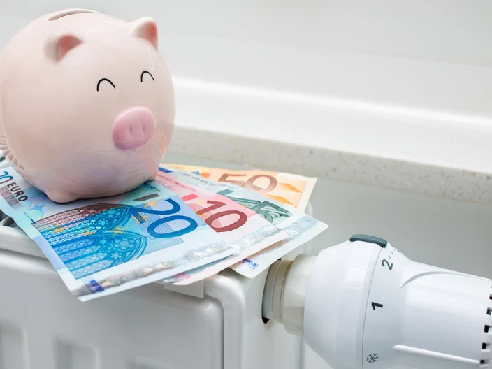 Fachkompetenz, Energieeffizienz