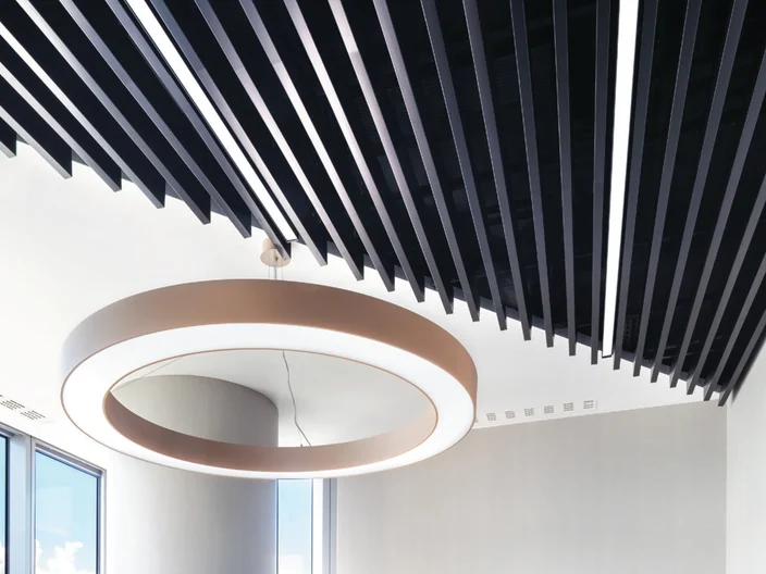 RS_METAL-Baffle-Element