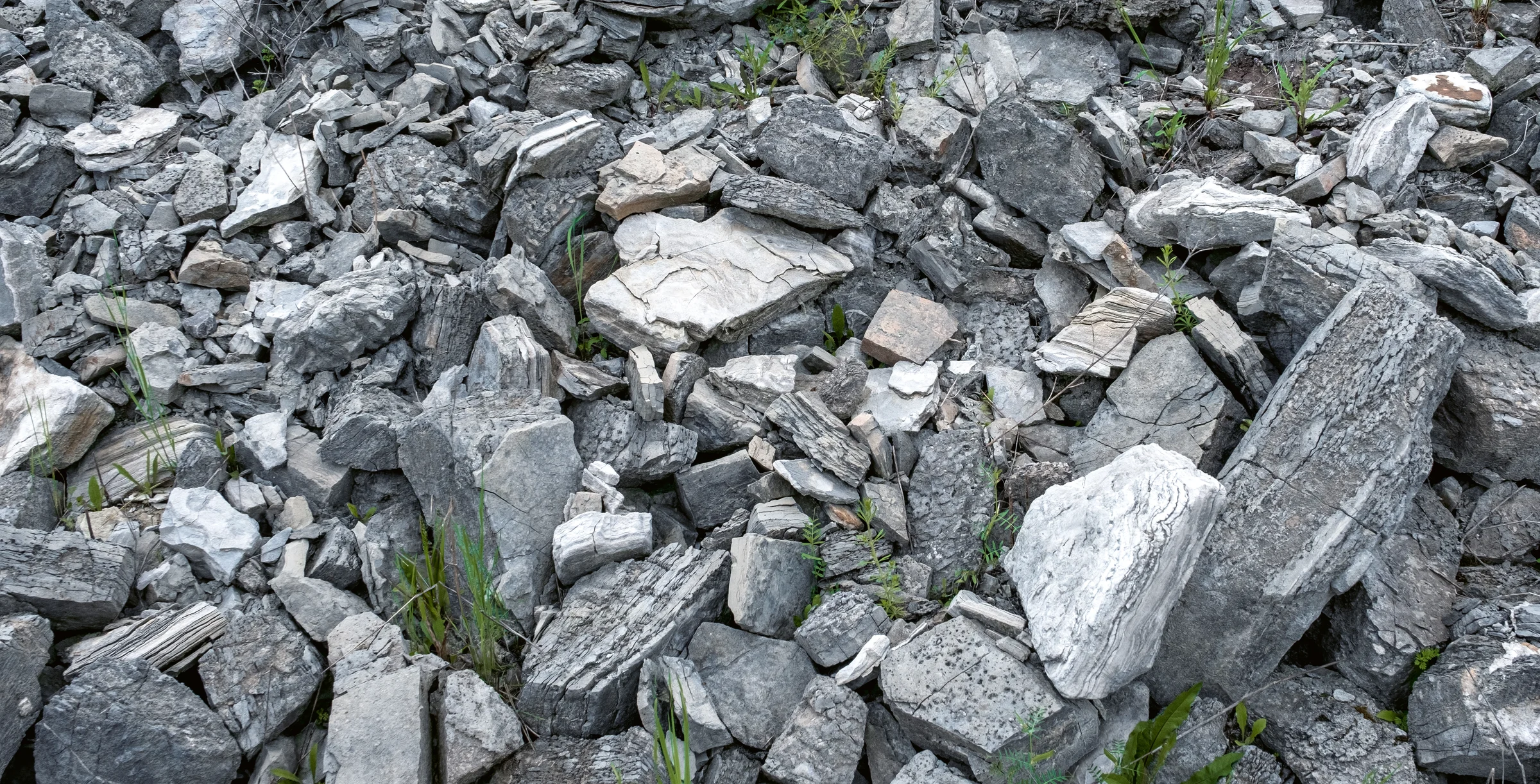 202504-Renaturation-Knauf_0785