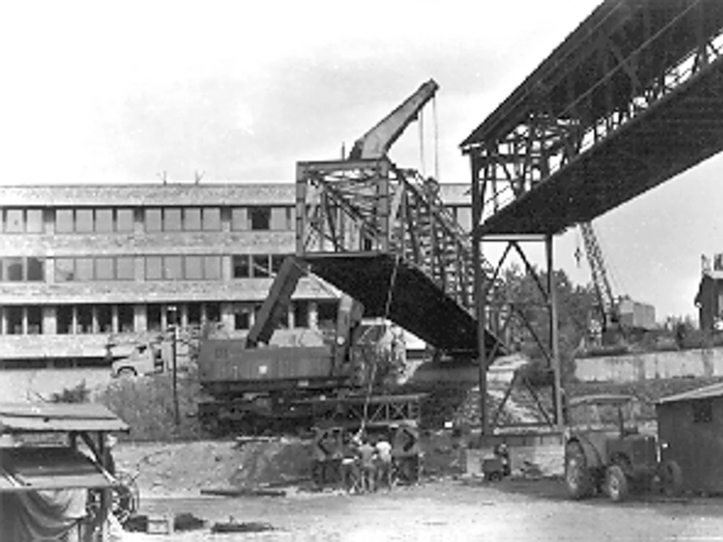 NB Plant Histrória