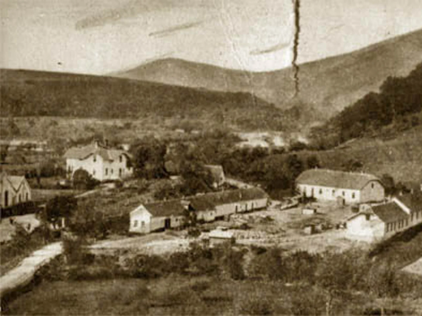 NB Plant Histrória
