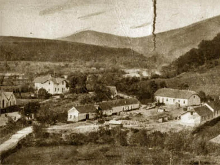 NB Plant Histrória