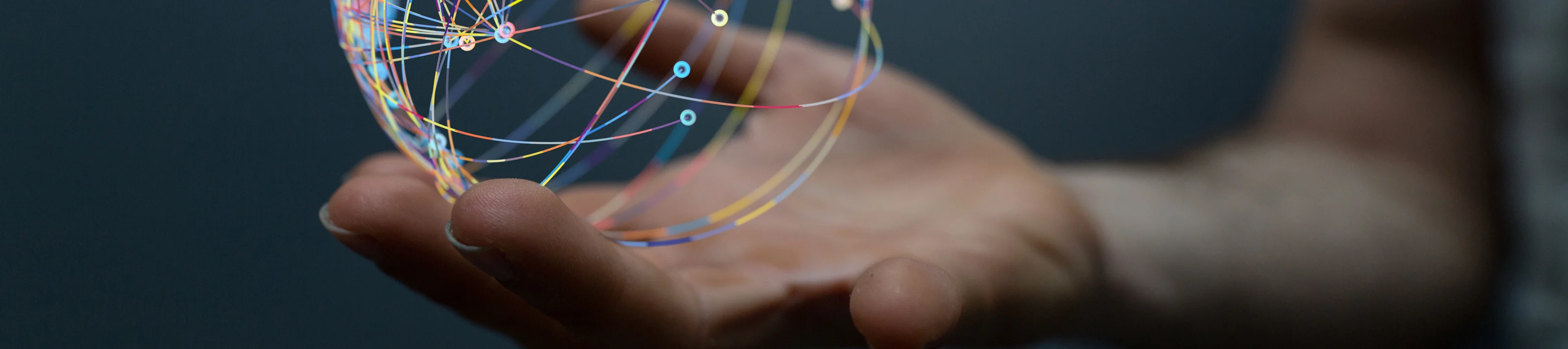the 3d Global Network Of People.