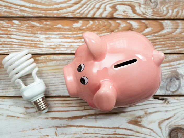 Piggy Bank Energy Saving Tips