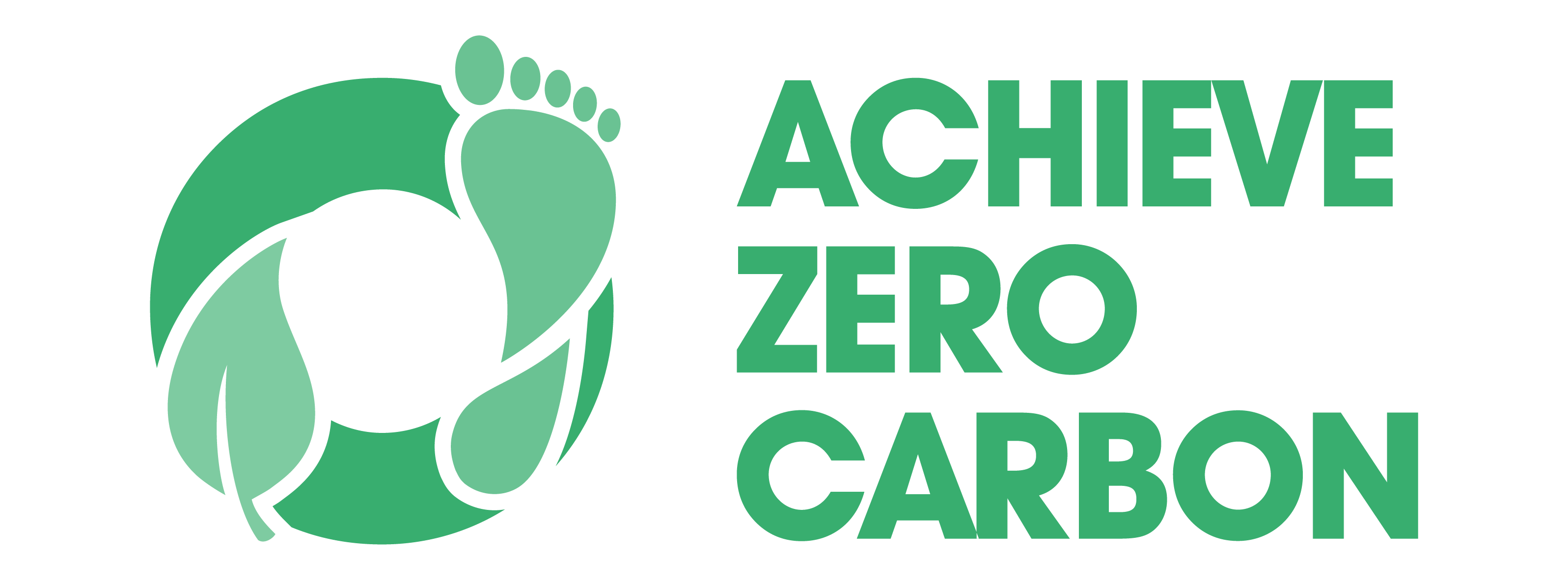 achieve zero carbon