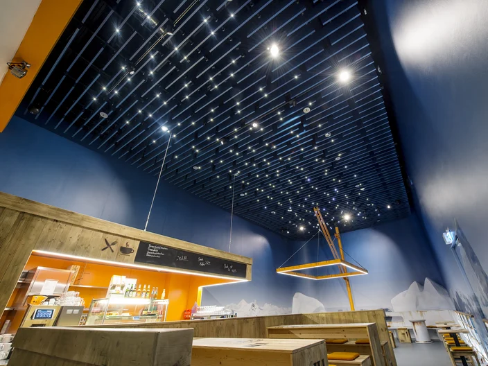 Mat-Ceiling_DE-Klimahaus-Bremerhaven.jpg