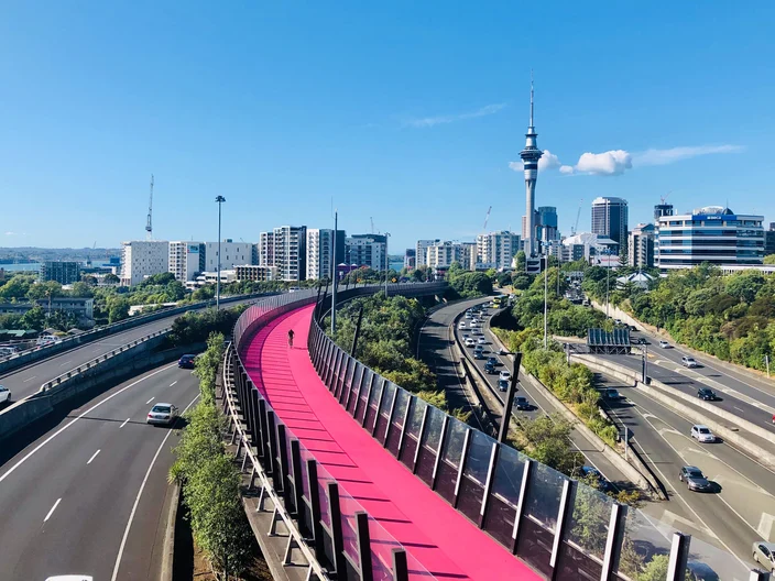 Photo of pink bridge in Auckland New Zealand HI Building Code Update Image