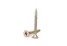 Knauf - AQUAPANEL® Maxi Screw SN - Knauf-Egypt-Accessories-AQUAPANEL-Maxi-Screws-SN.jpg