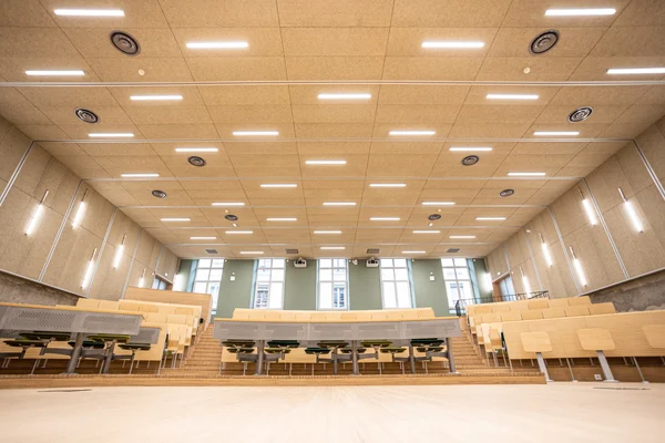 Knauf - Organic MINERAL Pure - Amphitheatre - Grenoble 38 - Organic