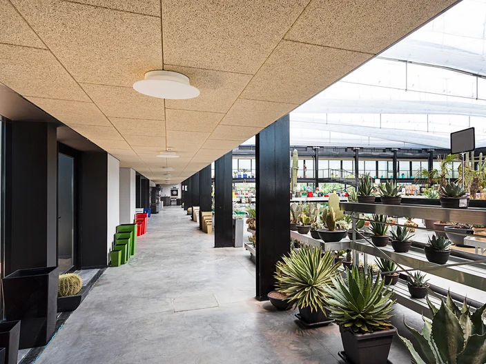 RS_HERADESIGN_fine