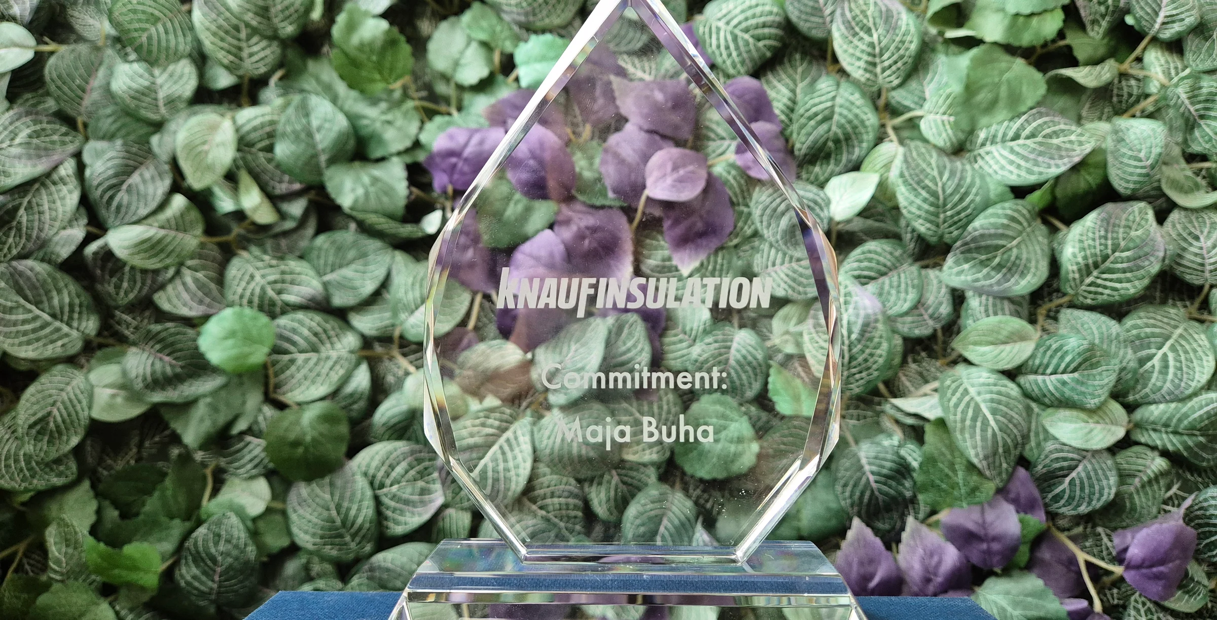 Award 1