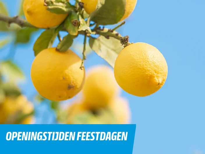 Openingstijden 2026